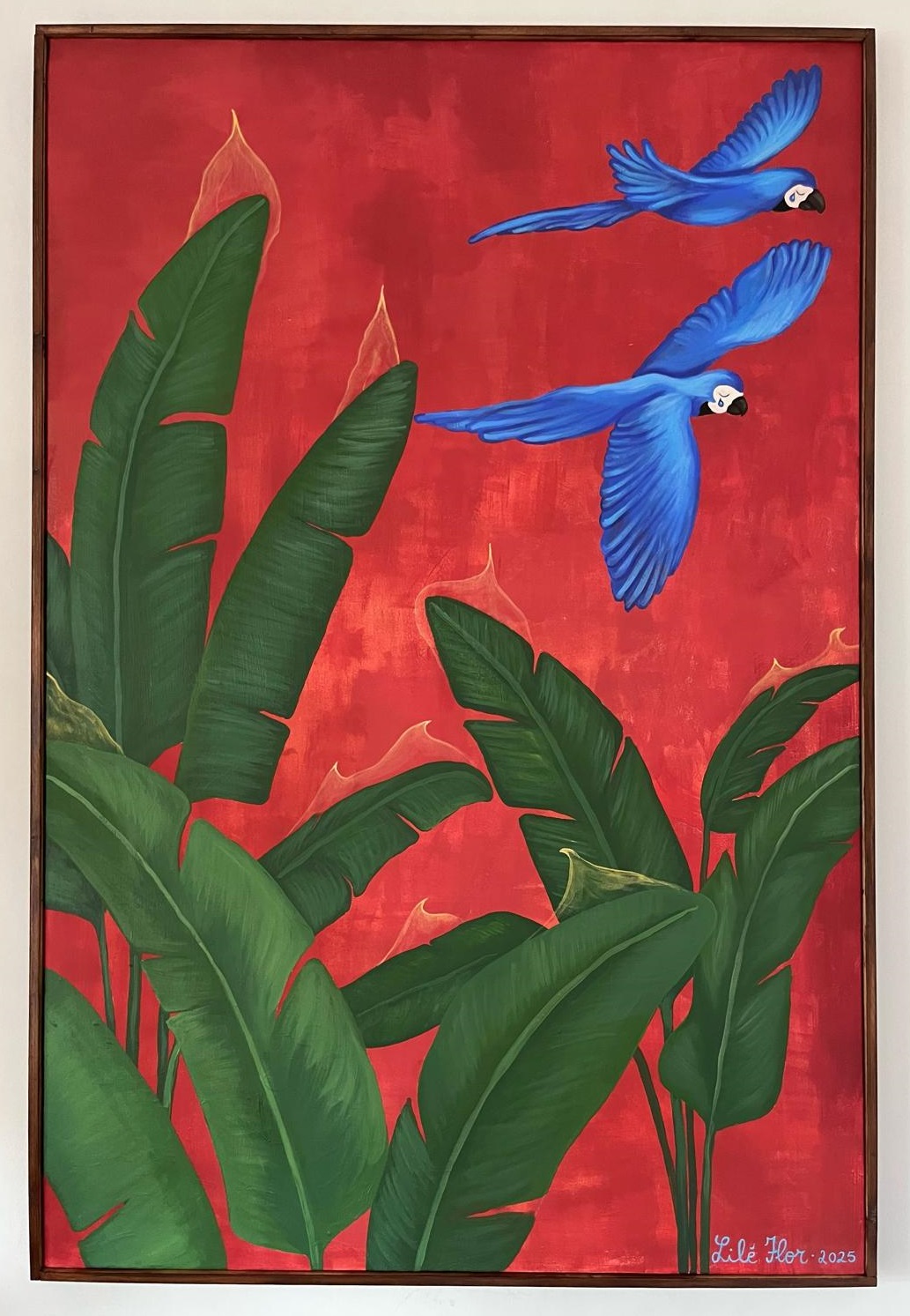 Choro das Araras